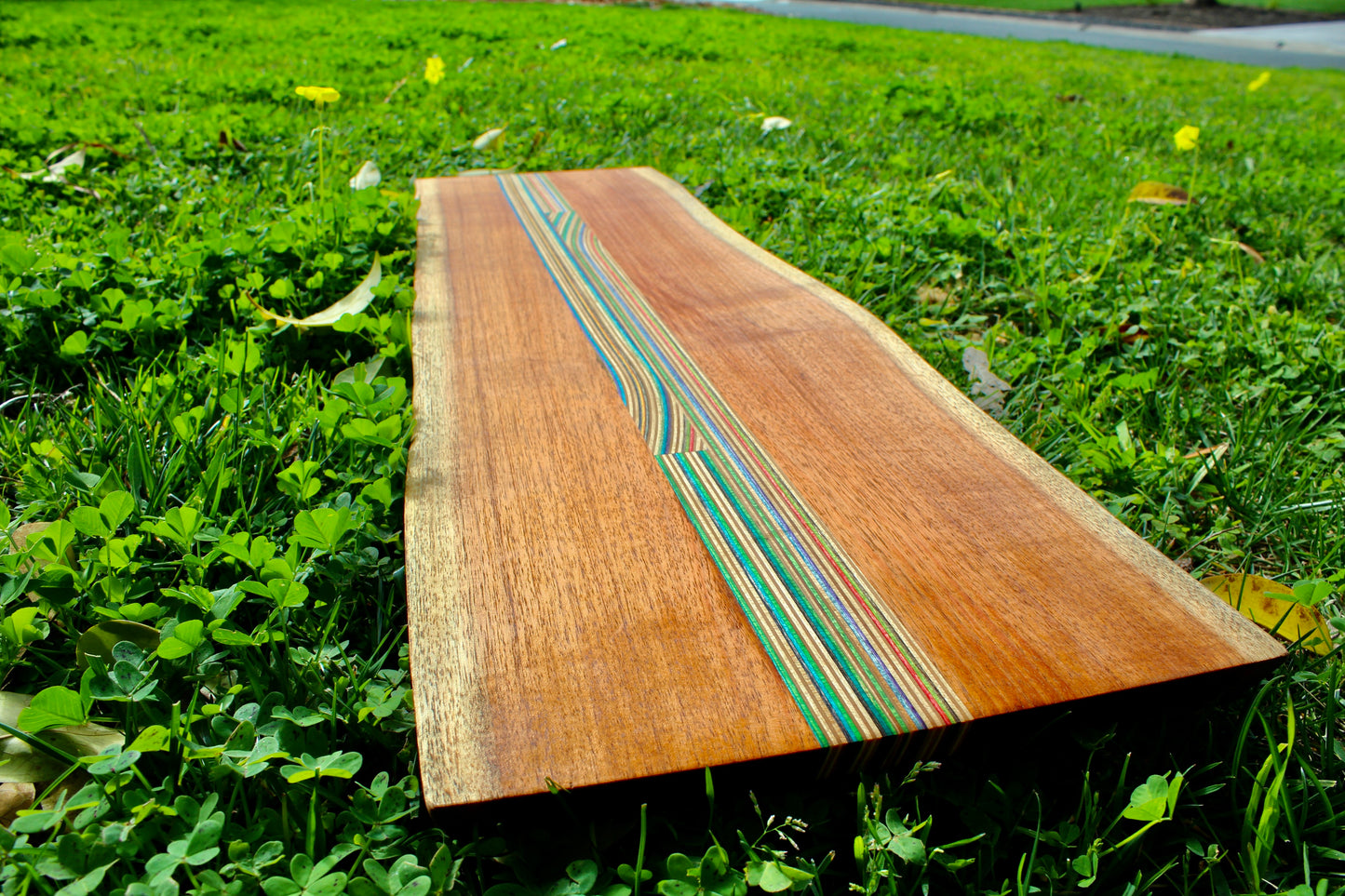 Large Serving tray/ centerpiece